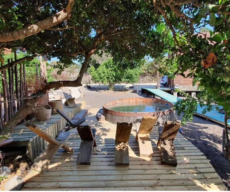 Palo Santo Bed and Breakfast Pichilemu Esterno foto