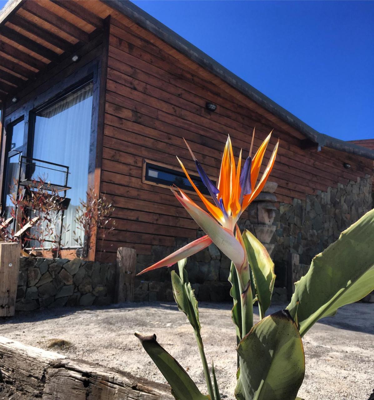 Palo Santo Bed and Breakfast Pichilemu Esterno foto